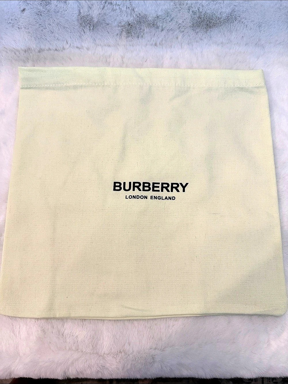 Burberry Yellow Dust Bag